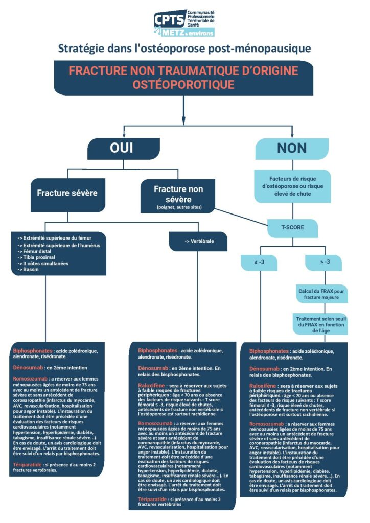 Infographie stratégie dans l'ostéoporose post-ménopausique